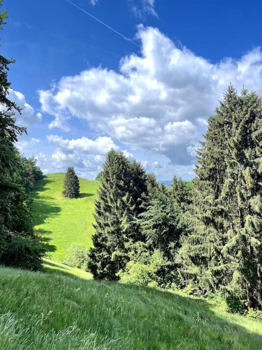 Ferienwohnung Am Hang Mit Malerischer Aussicht Osterode am Harz Extérieur photo