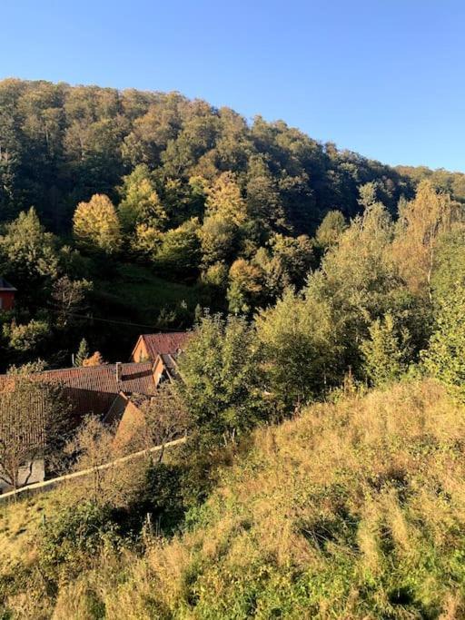 Ferienwohnung Am Hang Mit Malerischer Aussicht Osterode am Harz Extérieur photo